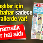 Yaşlıların İkinci Baharı: Gerçekler ve Hayaller